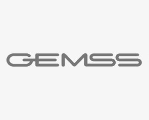 Gemss C-Arms